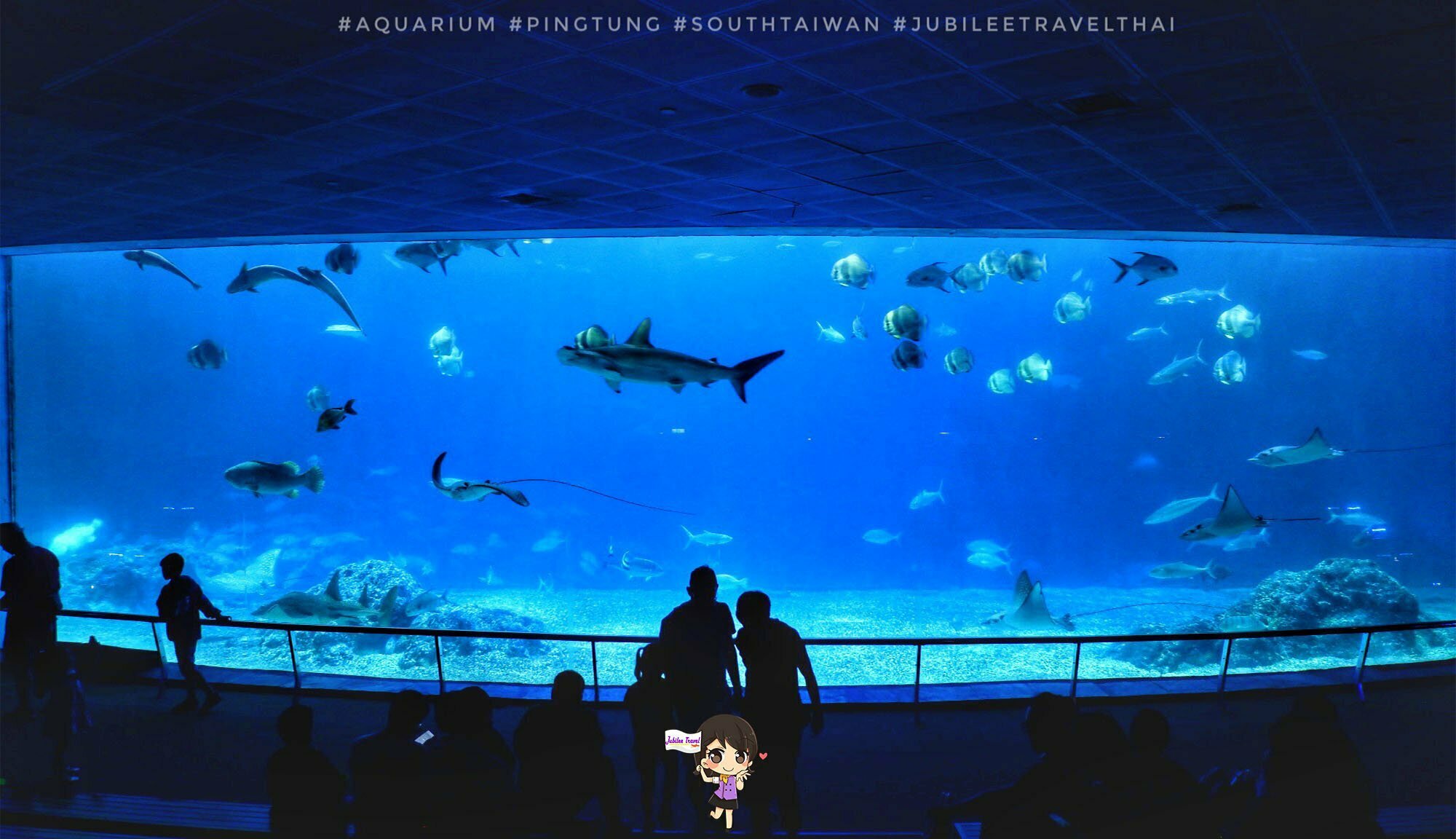 ผิงตง รีวิว National museum of marine biology and aquarium ที่นี่