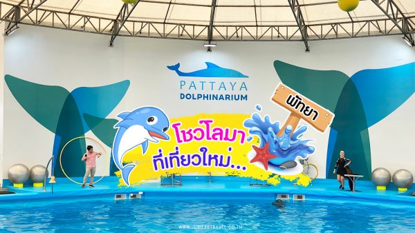 โชว์โลมา ที่เที่ยวใหม่…พัทยา : รีวิว Pattaya Dolphinarium