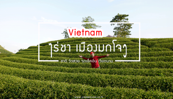 มหัศจรรย์เวียดนาม : ไร่ชา เมืองมกโจว