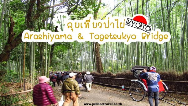 ป่าไผ่อาราชิยาม่า & สะพานโทเก็ตสึเคียว : 2 จุดไฮไลท์ ใบไม้เปลี่ยนสีที่ต้องมาเยือน