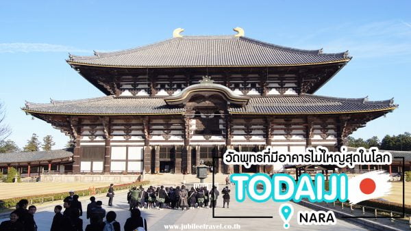 เที่ยววัดโทไดจิ : มรดกโลก หลวงพ่อไดบุทสึ ให้อาหารกวางนารา