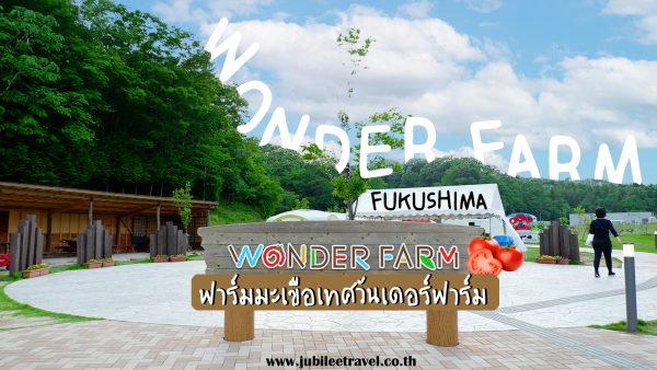 ฟาร์มมะเขือเทศ Wonder Farm : เก็บมะเขือเทศออร์แกนิกสดๆจากต้น เมืองอิวากิ ฟุกุชิมะ