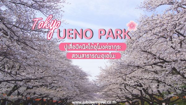 สวนอุเอโนะ : Ueno Park ปูเสื่อปิคนิคใต้อุโมงค์ซากุระ