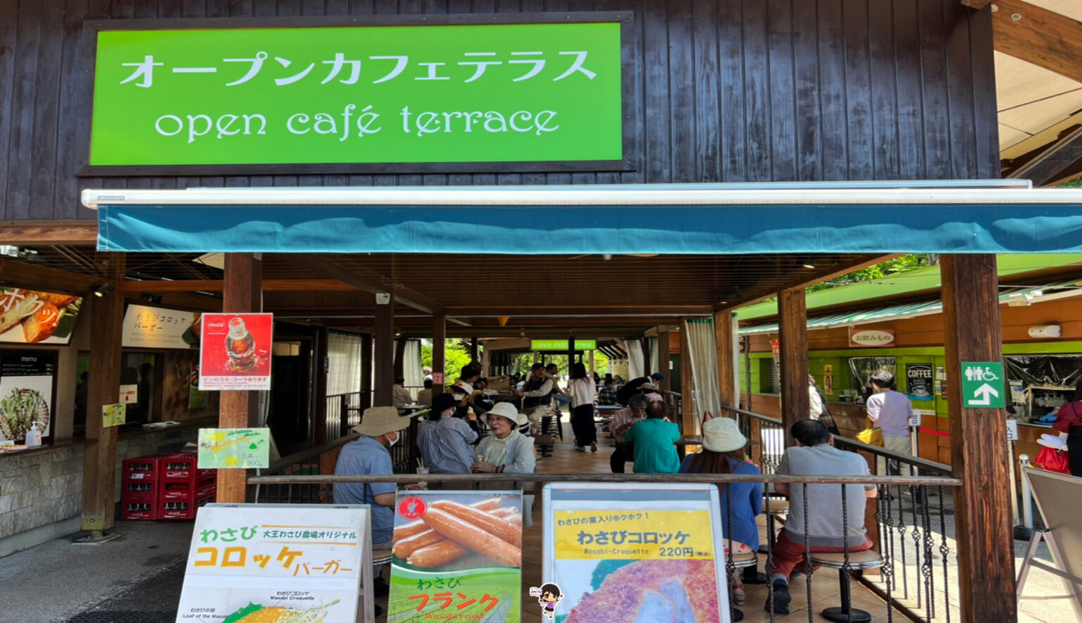 Daio Wasabi Farm เที่ยวไร่ไดโอะวาซาบิ นากาโนะ ไร่วาซาบิที่ใหญ่ที่สุด