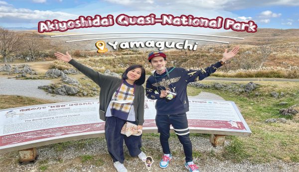 Akiyoshidai Quasi-National Park : ที่ราบสูงอะคิโยะชิได เมืองมิเนะ ยามากุจิ