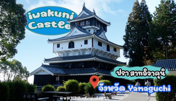 ปราสาทอิวาคุนิ : Iwakuni Castle ยามากุจิ