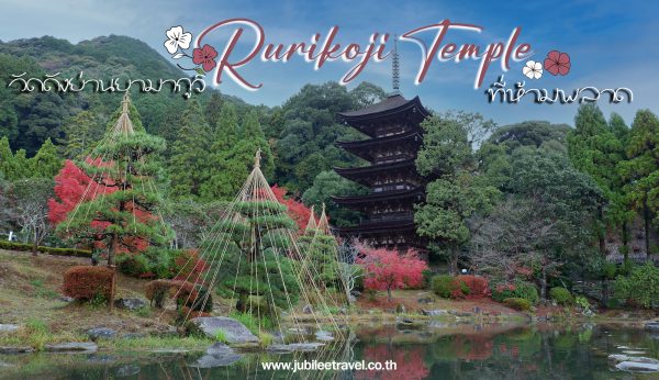 เมืองนากาโตะ Rurikoji Temple : วัดรูริโคจิ เจดีย์ 5 ชั้น และร้านอาหารเที่ยง Choshu  บะหมี่กระเบื้อง