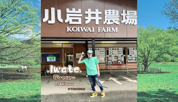 อิวาเตะสัมผัสธรรมชาติเขียวๆ : Iwate Koiwai Farm