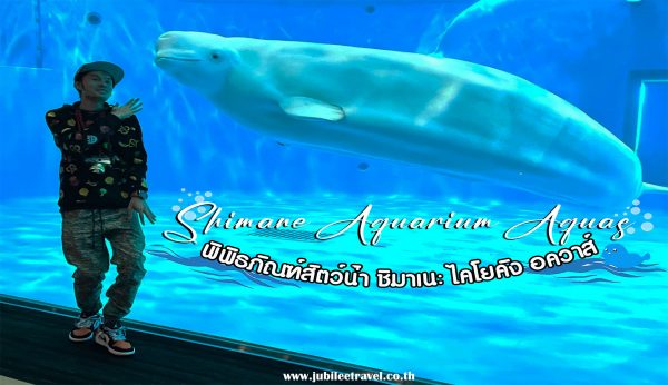 พิพิธภัณฑ์สัตว์น้ำชิมาเนะ Shimane AQUAS Aquarium :พิพิธภัณฑ์สัตว์น้ำที่ใหญ่ที่สุดในภูมิภาคจูโกคุ