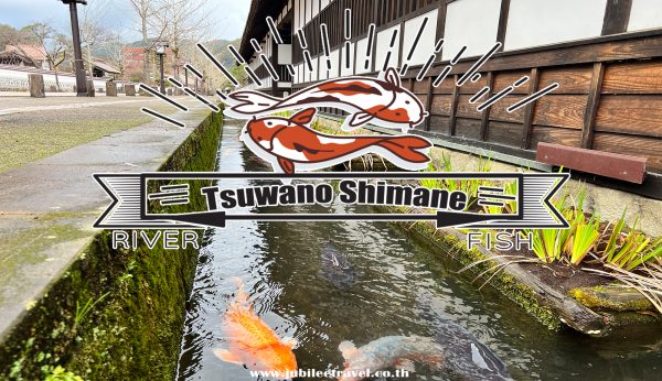 ตะลอนชิมาเนะ ซุวาโนะ Tsuwano Shimane