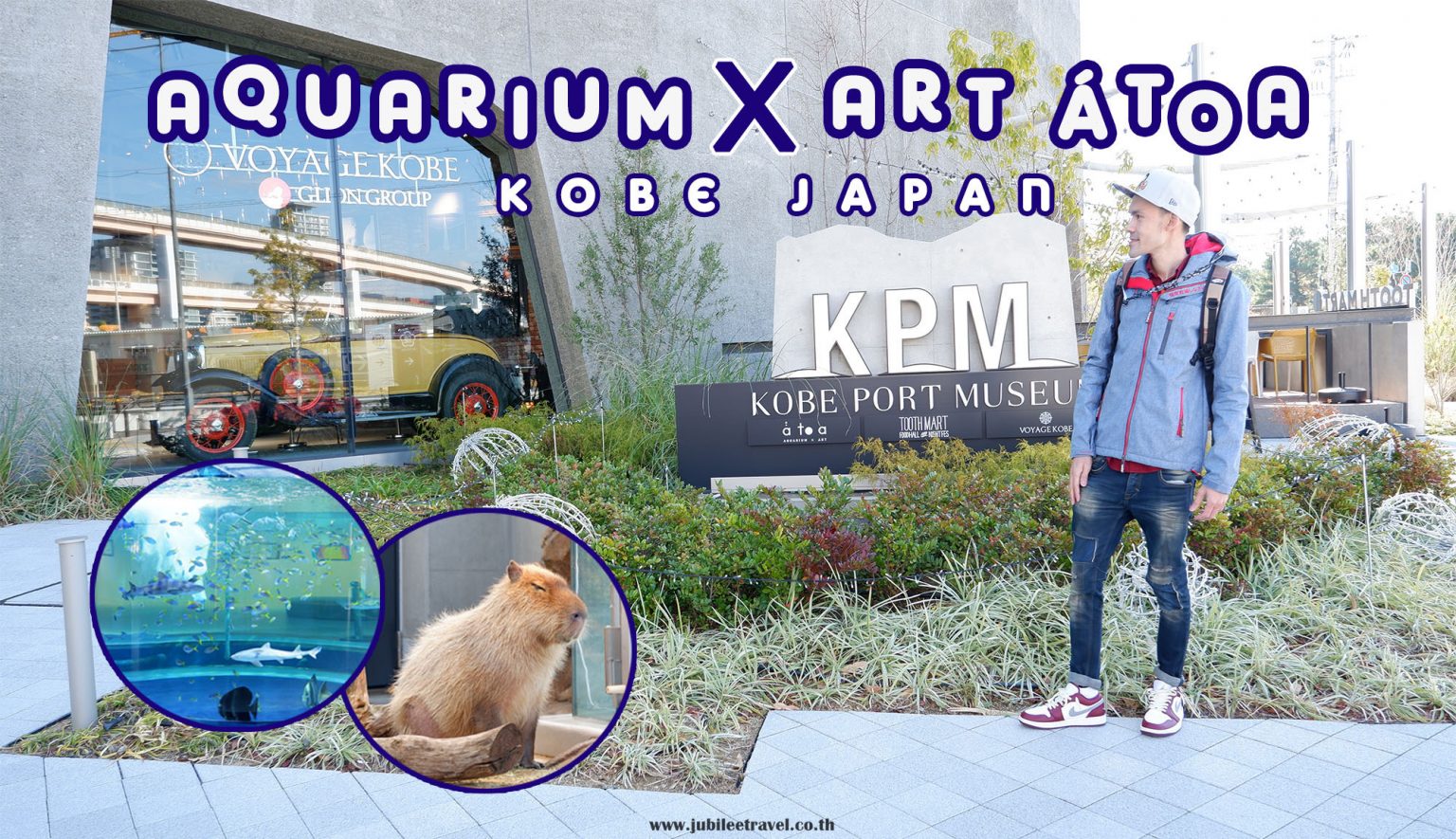 AQUARIUM x ART átoa พิพิธภัณฑ์สัตว์น้ำเมืองโกเบ จังหวัดเฮียวโกะ
