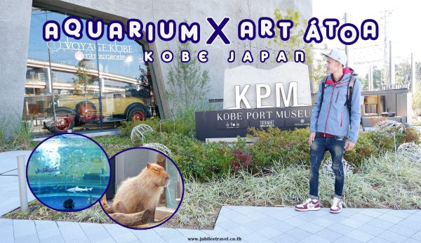 AQUARIUM x ART átoa : พิพิธภัณฑ์สัตว์น้ำเมืองโกเบ จังหวัดเฮียวโกะ