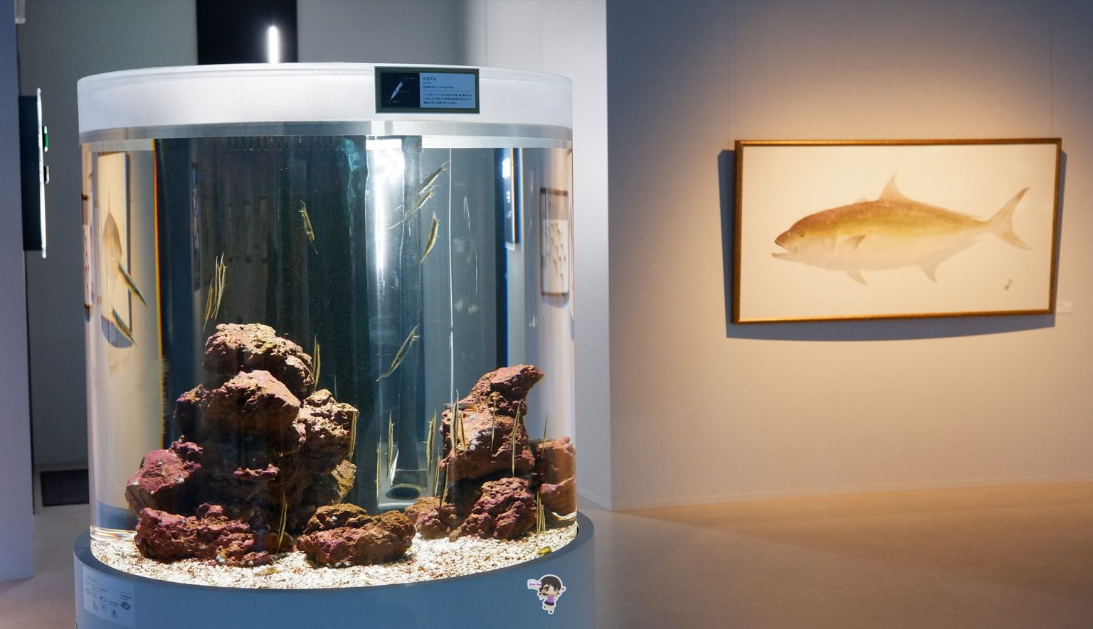 AQUARIUM x ART átoa พิพิธภัณฑ์สัตว์น้ำเมืองโกเบ จังหวัดเฮียวโกะ