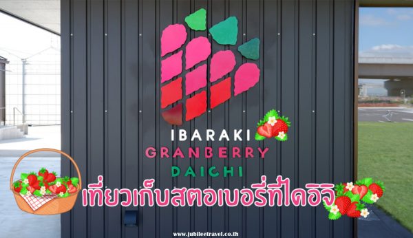 Grandberry Daichi Ibaraki : เที่ยวเก็บสตอเบอรี่ที่ไดอิจิ อิบารากิ