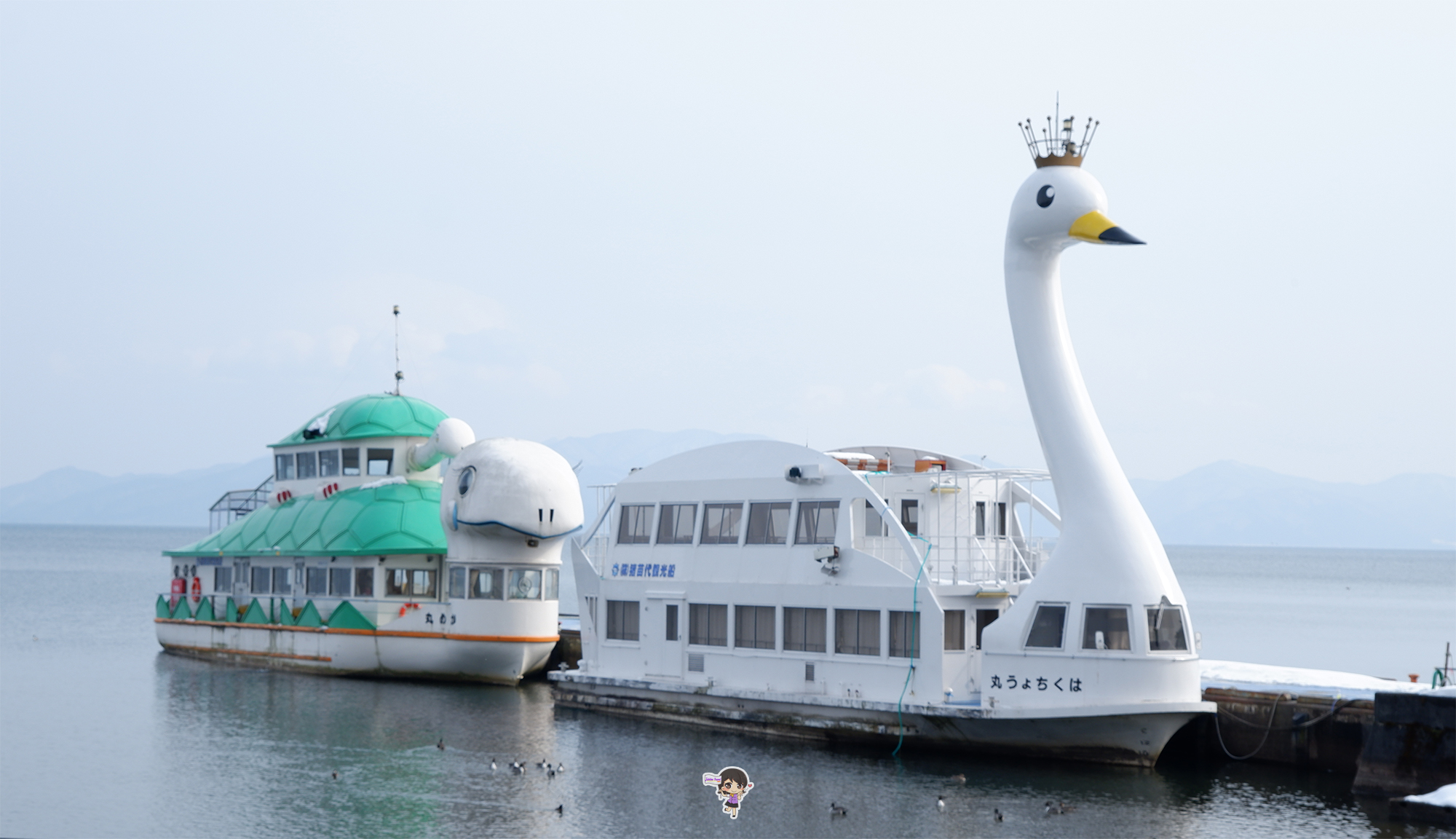 Blue Power Inawashiro Lake Inawashiro Fukushima : ชมฝูงหงส์ ทะเลสาบอินะวะชิโระ ฟุกุชิมะ ...