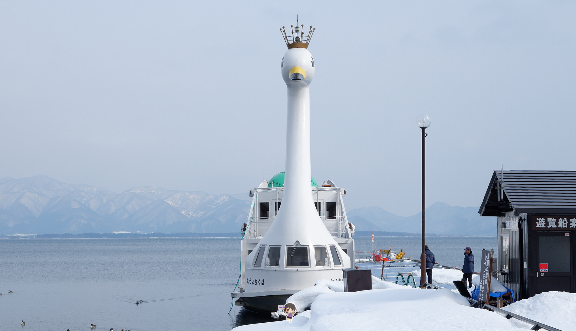 Blue Power Inawashiro Lake Inawashiro Fukushima : ชมฝูงหงส์ ทะเลสาบอินะวะชิโระ ฟุกุชิมะ ...