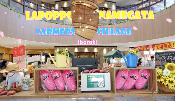เที่ยวร้านมันม่วง แห่งอิบารากิ : Lapoppo Namegata Farmers Village