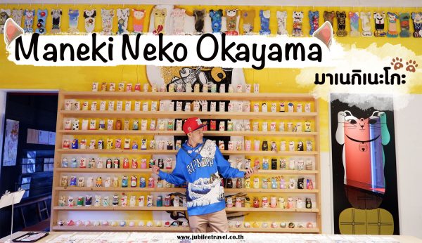 โอคายาม่า มาเนกิเนะโกะ Maneki Neko : วาดแมวยังไงให้เป็นแมว