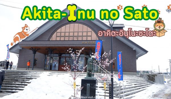 Akita-Inu no Sato : หมู่บ้านสุนัขอาคิตะ