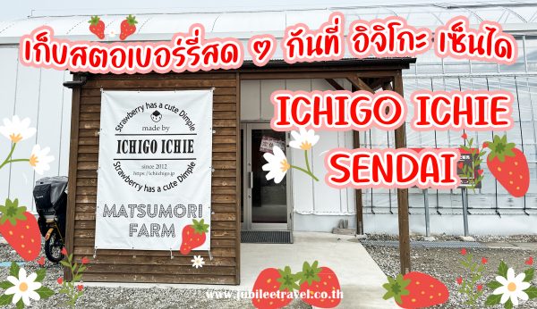 มาเก็บสตอเบอร์รี่สด ๆ กันที่ อิจิโกะ เซ็นได กัน : Ichigo Ichie Sendai