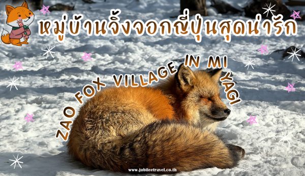 หมู่บ้านจิ้งจอกสุดน่ารักกก : Zao Fox Village Miyagi