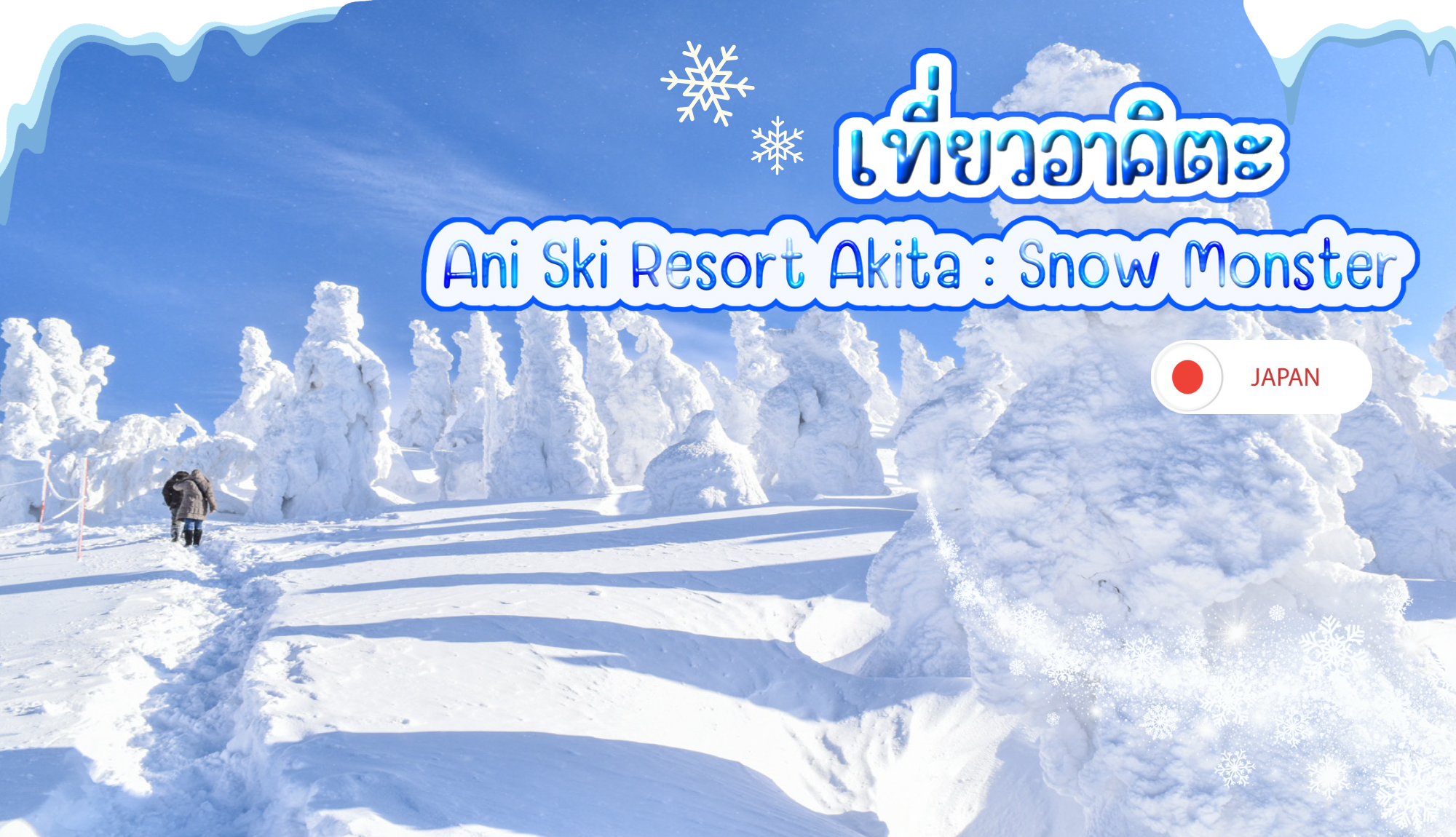 เที่ยวอาคิตะ Ani Ski Resort Akita : Snow Monster