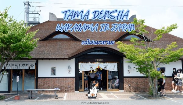 TAMA DENSHA:รถไฟน้องเหมียวทามะ วาคายาม่า