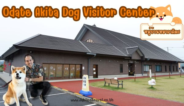 Odate Akita Dog Visitor Center :ชมความน่ารักสุดคิ้วท์ของน้องหมาอาคิตะที่หมู่บ้านหมาอาคิตะ