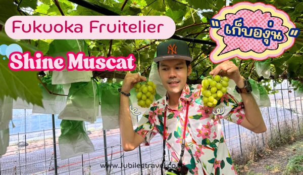 Fukuoka Fruitelier Shine Muscat : เก็บองุ่นไชน์มัสคัส