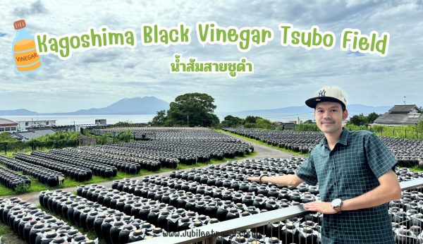 Kagoshima Black Vinegar Tsubo Field: โรงงานผลิตน้ำส้มสายชูดำ