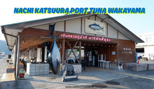 Nachi Katsuura Port Tuna: เดินตลาดทูน่าที่ นาจิคัตสึอุระ