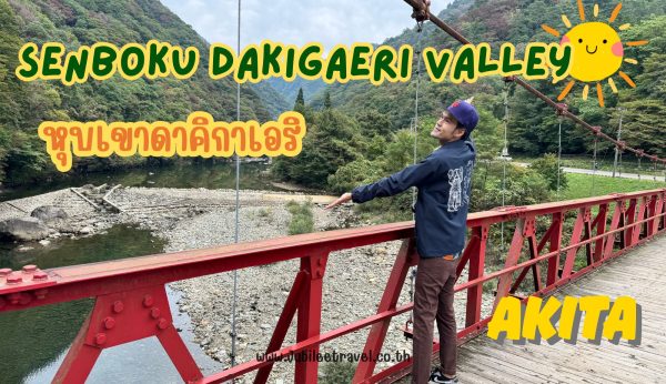 Senboku Dakigaeri Valley : หุบเขาดาคิกาเอริ ธรรมชาติที่คุณต้องสัมผัส