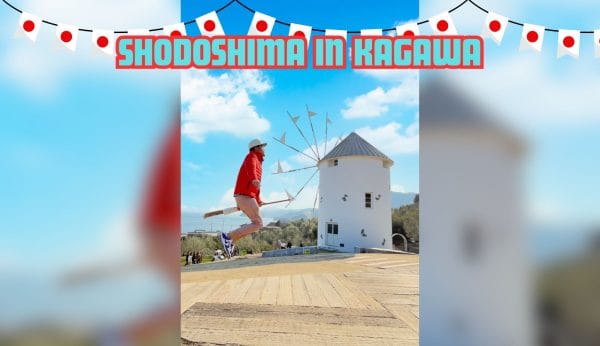 Shodoshima in Kagawa: ชมสวนมะกอกที่ เกาะโชโดะชิมะ