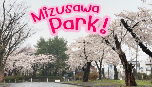 Mizusawa Park Skura : สวนมิซูซาวะ : ซากุระนี้แค่เธอก็พอ