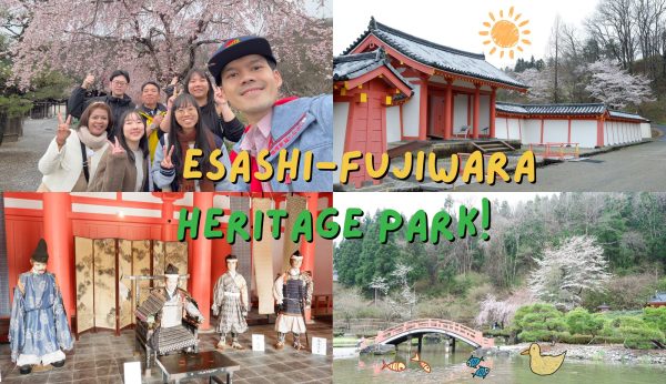 Esashi-Fujiwara Heritage Park: อุทยานประวัติศาสตร์เอซาชิ-ฟูจิวาระ โนะ ซาโตะ ช่วงซากุระที่ตรงกับสงกรานต์