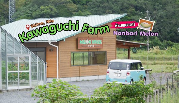 Mie : Nanbari Melon Kawaguchi Farm ฟาร์มเมล่อนที่สายหวานห้ามพลาด!