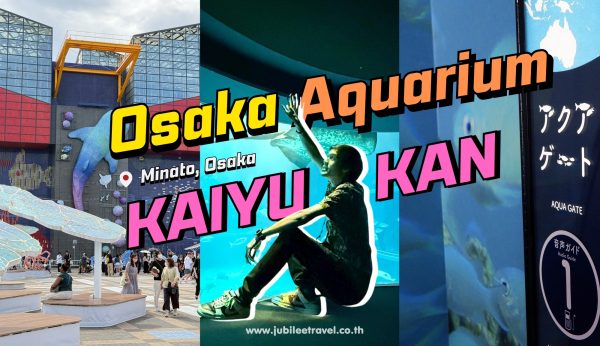 Osaka : Aquarium Kaiyukan โลกใต้ทะเลใจกลางโอซาก้า