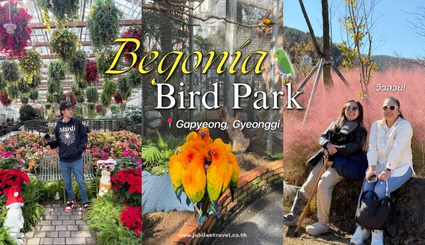 Korea : Begonia Bird Park — ที่เดียวครบ! ดอกไม้สวย นกน่ารัก ถ่ายรูปปัง