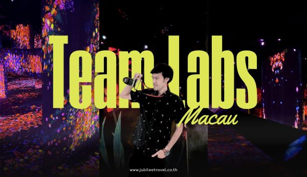 Macau : TeamLabs  SuperNature – นิทรรศการศิลปะที่มากกว่าการชม