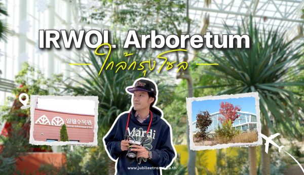 Korea : Irwol Arboretum — สวนพฤกษชาติใจกลางซูวอน