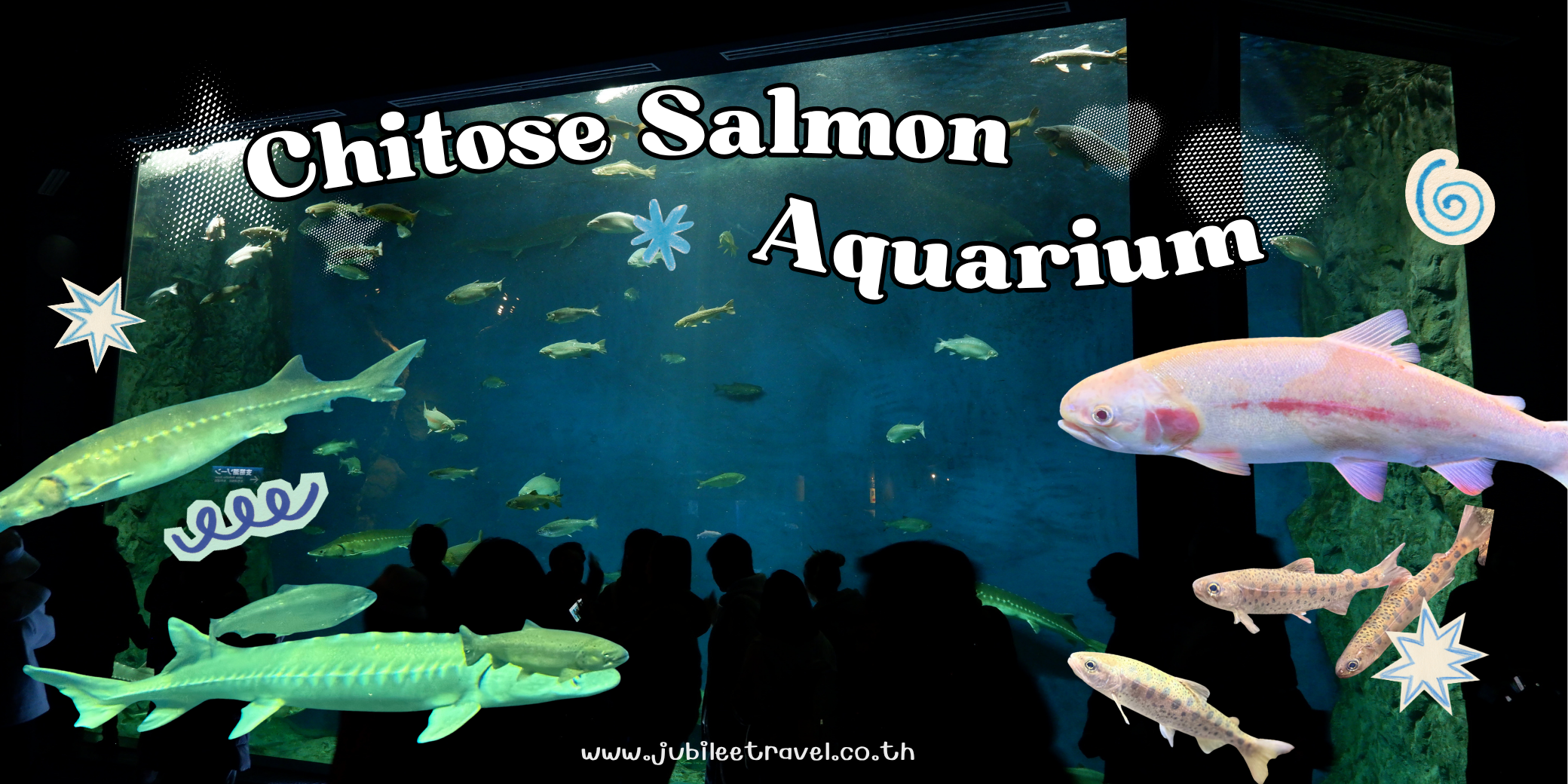 Chitose Salmon Aquarium : พิพิธภัณฑ์สัตว์น้ำชิโตเซะ ชมแม่น้ำชิโตเซะของจริง ที่ตื่นใจ