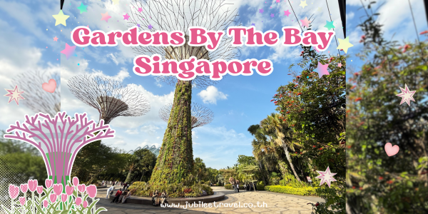 Gardens by the Bay : การ์เดนส์ บาย เดอะ เบย์ แลนด์มาร์กอันดับต้นๆ ของสิงคโปร์